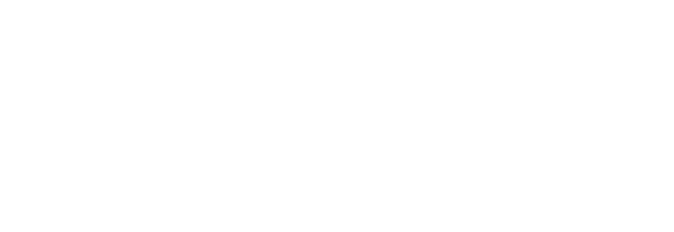 Logo-Pereyra-h